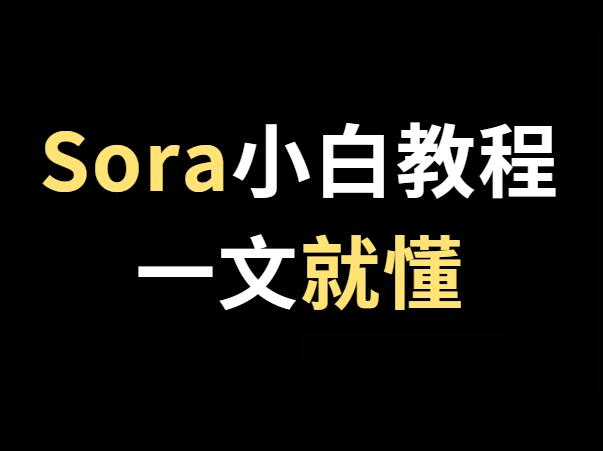 【保真】揭秘目前唯一能使用Sora的官方渠道 —— OpenAI Red Teaming Network